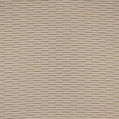 RM Coco Tidal Wave Fossil