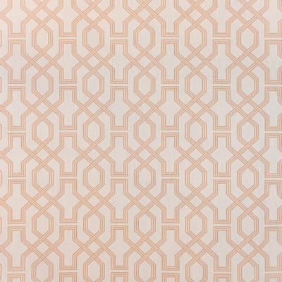 RM Coco The Right Track Succulent