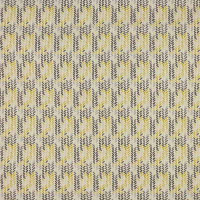 RM Coco Track Spotter Golden Pewter