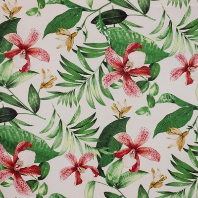 RM Coco Ala Moana Coral Reef