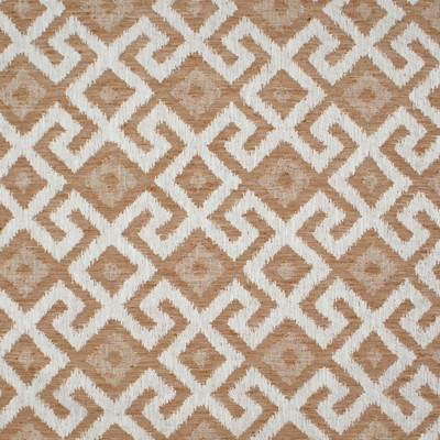 RM Coco Anasazi Fret Spice Road