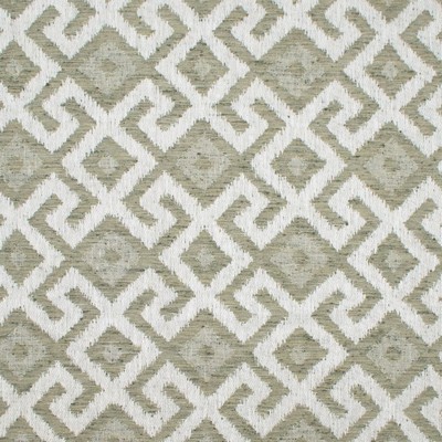 RM Coco Anasazi Fret Eucalyptus