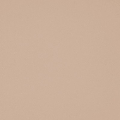 RM Coco Chaparral Performance FR Faux-Leather Vapor