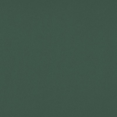 RM Coco Sundown Wide-Width FR Dimmer Evergreen