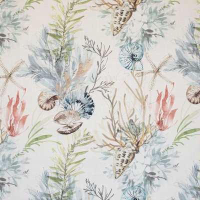 RM Coco Voyager Oceanic