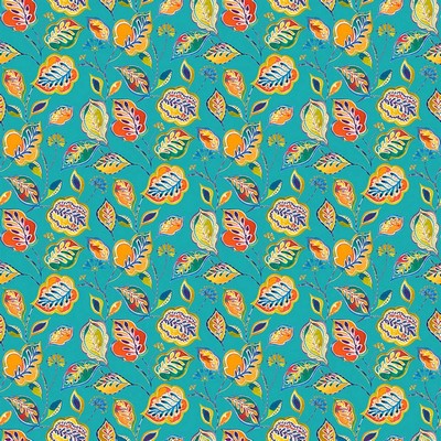 RM Coco Caribe Paradise