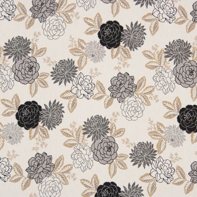 RM Coco 2012cb PANTHER