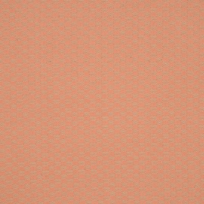 RM Coco 2076CB MANGO