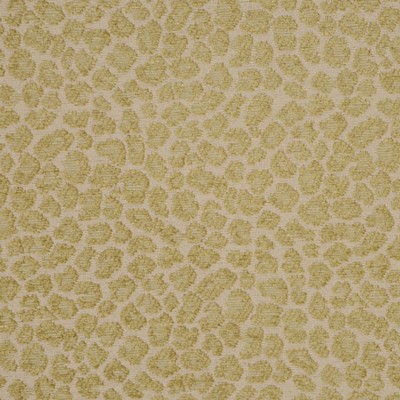 RM Coco 2099CB PARROT