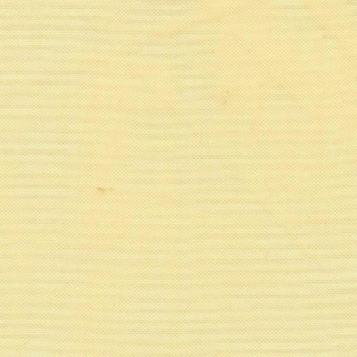 RM Coco HIGH HOPES Cashew