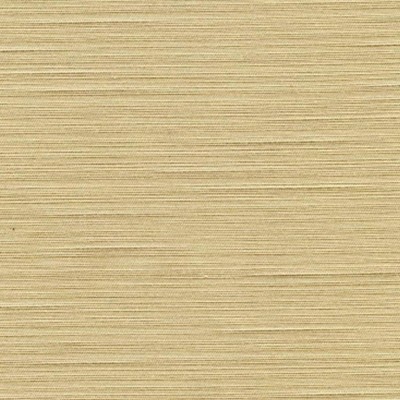 RM Coco CALLING CARD Bone