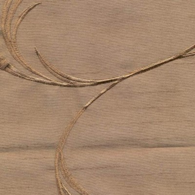 RM Coco AMAZON NUTSHELL