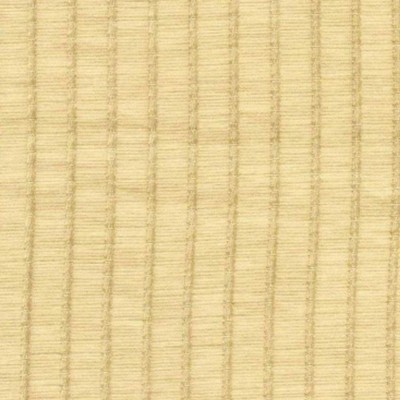 RM Coco MINI STRIPE Champagne