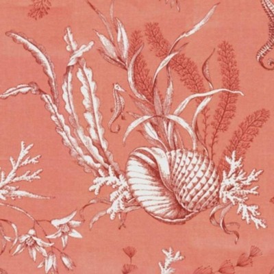 RM Coco SEA ISLAND Coral