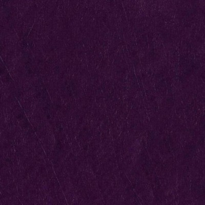 RM Coco NO NONSENSE Purple