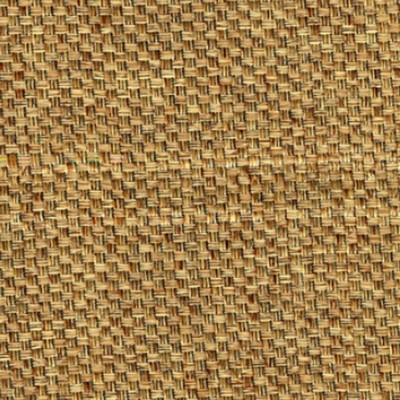 RM Coco NEST EGG Biscotti