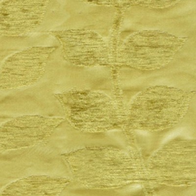 RM Coco BIRTHDAY Peridot