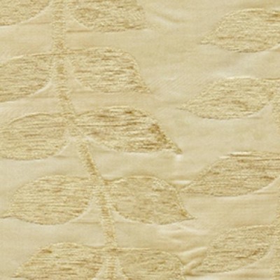 RM Coco BIRTHDAY Cashmere