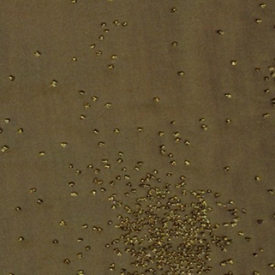 RM Coco GALAXY NEW BRONZE