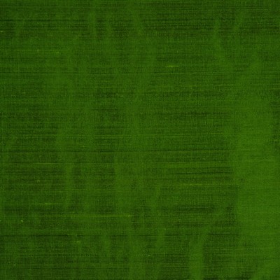 RM Coco RM DUPIONI PARROT