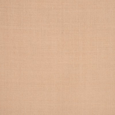 RM Coco RM MATKA CAFE