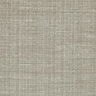 RM Coco ROCKY MOUNTAIN Ash