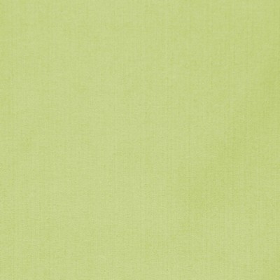 RM Coco PUGET SOUND KIWI