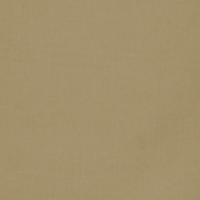 RM Coco PUGET SOUND Putty