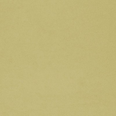 RM Coco ERIE CANAL MAIZE