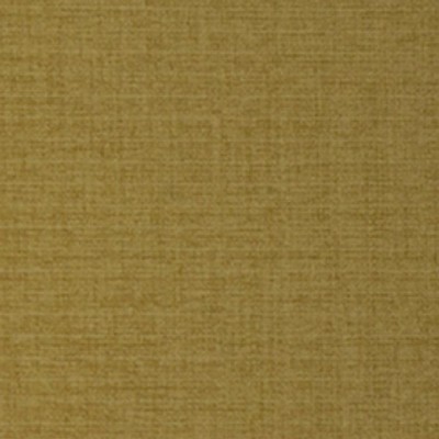 RM Coco TYCOON Cashew