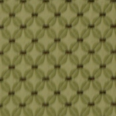 RM Coco CONNECT THE DOTS Moss