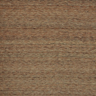 RM Coco CALCUTTA MUSHROOM