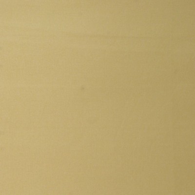 RM Coco EXTRA CREDIT MAIZE