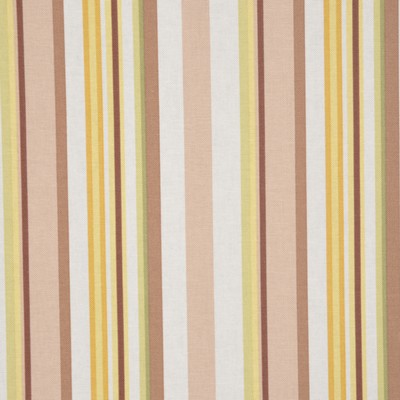 RM Coco A0375 HARVEST