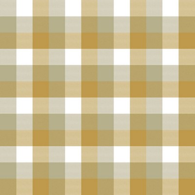 RM Coco Alsace Check Goldenrod