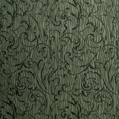 RM Coco Arbanas Capers