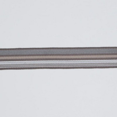 RM Coco Trim BD103 BORDER 1 7/8 STERLING