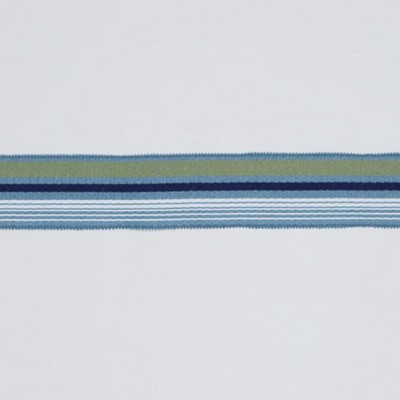RM Coco Trim BD103 BORDER 1 7/8 AQUAMARINE