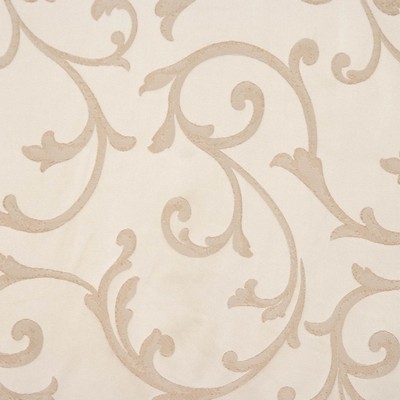 RM Coco Braveheart Champagne