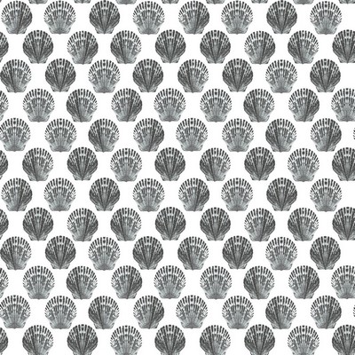 RM Coco Beachcomber Full Sail