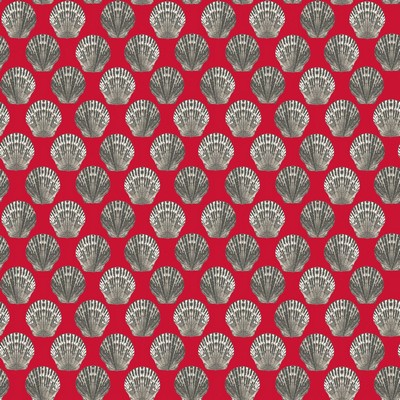 RM Coco Beachcomber Sea Coral