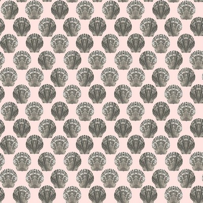 RM Coco Beachcomber Shell