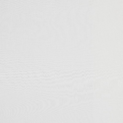 RM Coco Canadian BLUFF