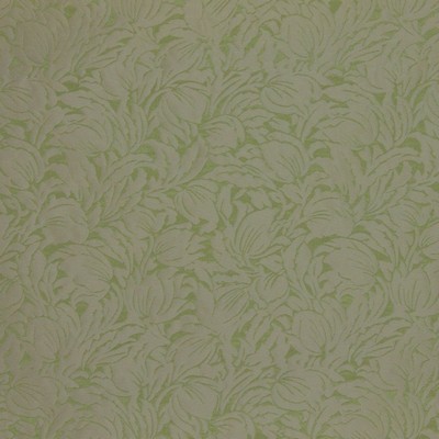 RM Coco CAPETOWN CAMEO