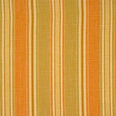 RM Coco Cardini SUNGLO