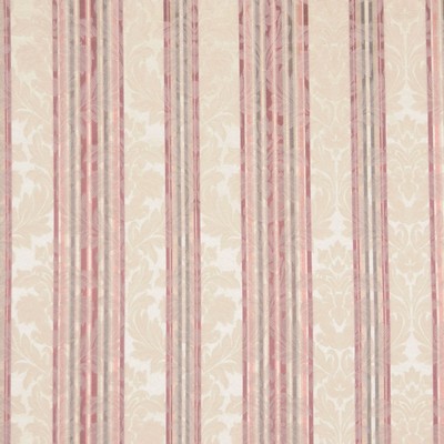 RM Coco Cinderella Berry