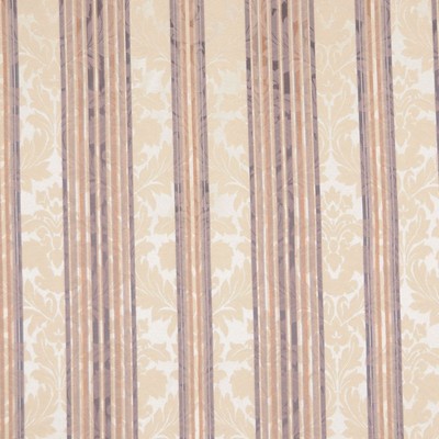 RM Coco Cinderella Pepperdust