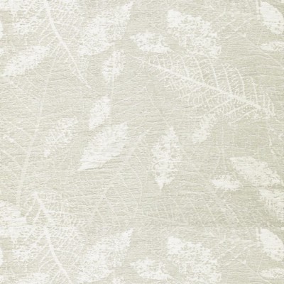 RM Coco Cabo San Lucas Snow