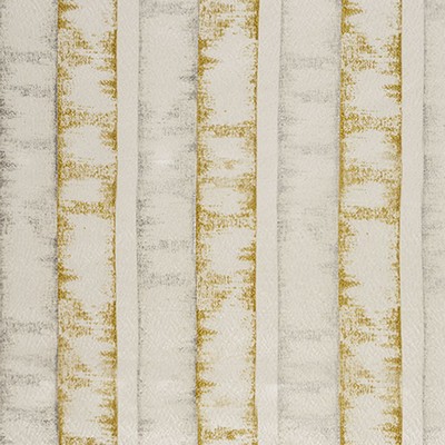 RM Coco Campania Stripe Goldenrod