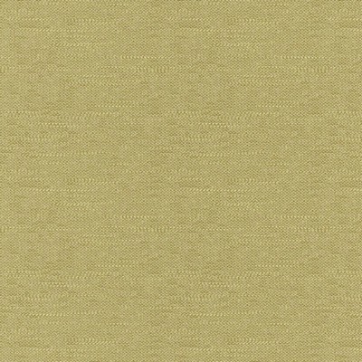 RM Coco Capistrano Moss